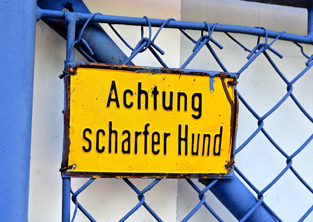 Schild Achtung scharfer Hund Warnschild Achtung scharfer Hund