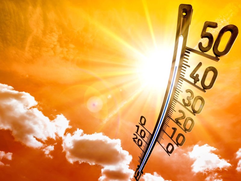 Sommer.jpg