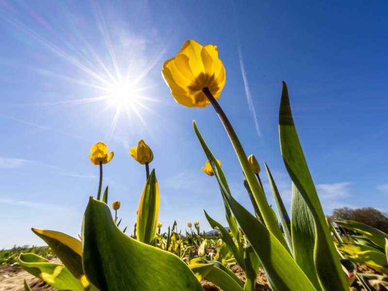 Sonniges Wetter
