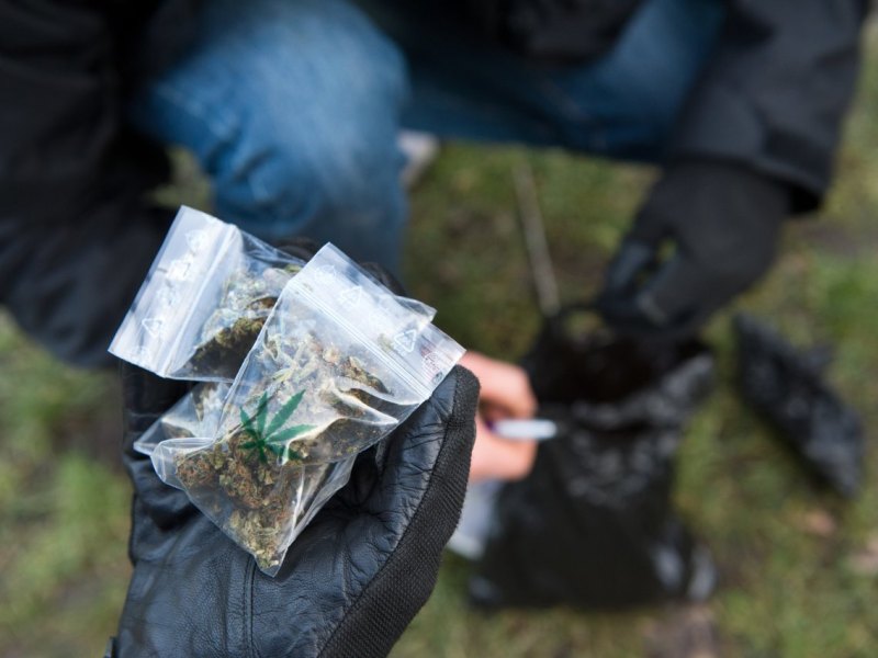 Symbolbild Marihuana Park