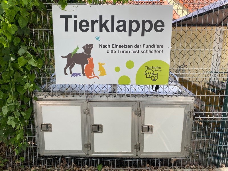 Der Tierschutzverein Peine hat eine Tierklappe auf den Weg gebracht., Tierschutz Peine: Am Tierheim gibt es jetzt eine Klappe, an der Tiere anonym abgegeben werden können. (Symbolbild)