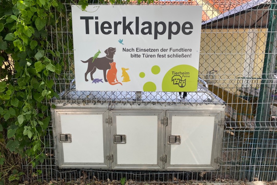 Der Tierschutzverein Peine hat eine Tierklappe auf den Weg gebracht., Tierschutz Peine: Am Tierheim gibt es jetzt eine Klappe, an der Tiere anonym abgegeben werden können. (Symbolbild)