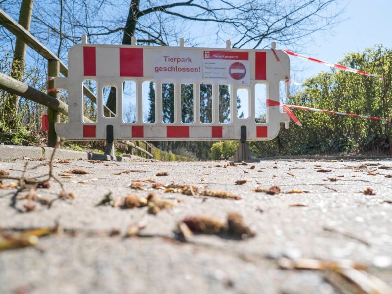 Tierpark.jpg