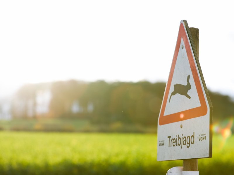 Treibjagd Unfall Niedersachsen.jpg