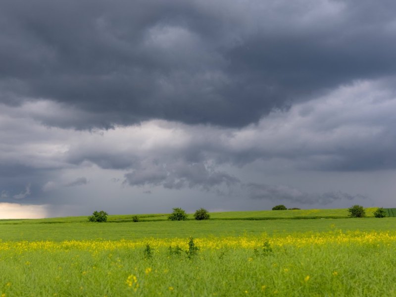 Unwetter Niedersachsen.jpg
