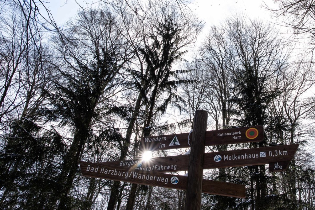 Wandern im Harz.jpg