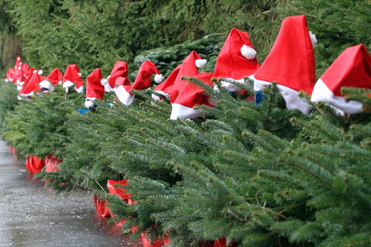 Weihnachtsbaum Verkauf