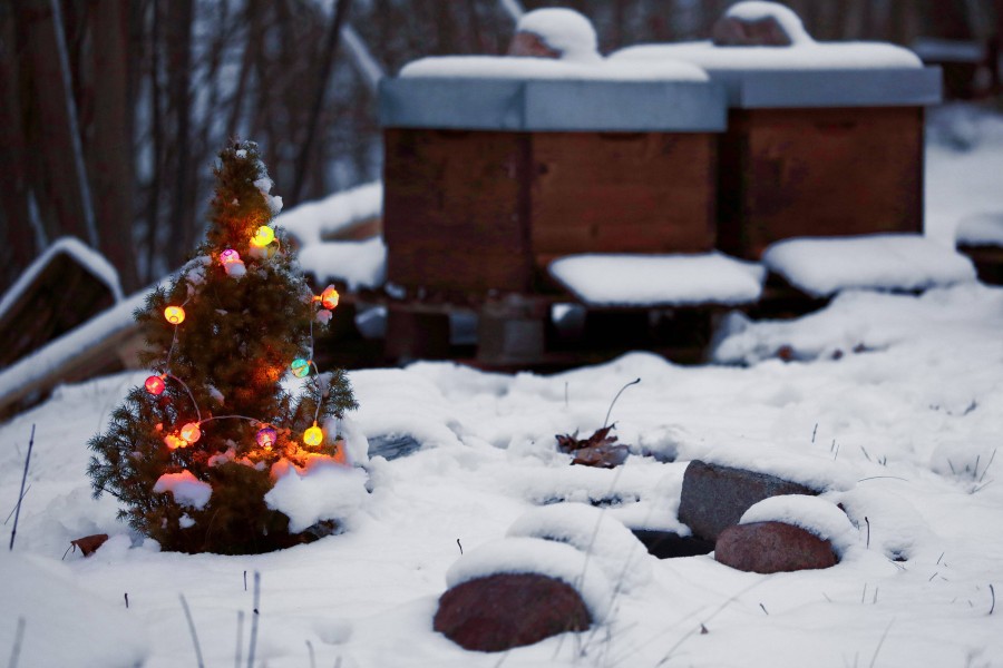 Bisher stehen die Chancen schlecht auf weiße Weihnachten vor der Tür. (Symbolbold)