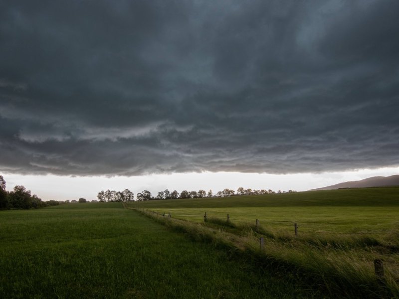 Wetter Niedersachsen.jpg