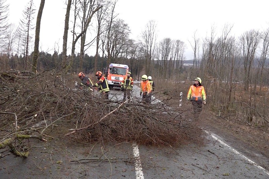 Im harz stürzten einige Äste oder ganze Bäume auf die Straße.