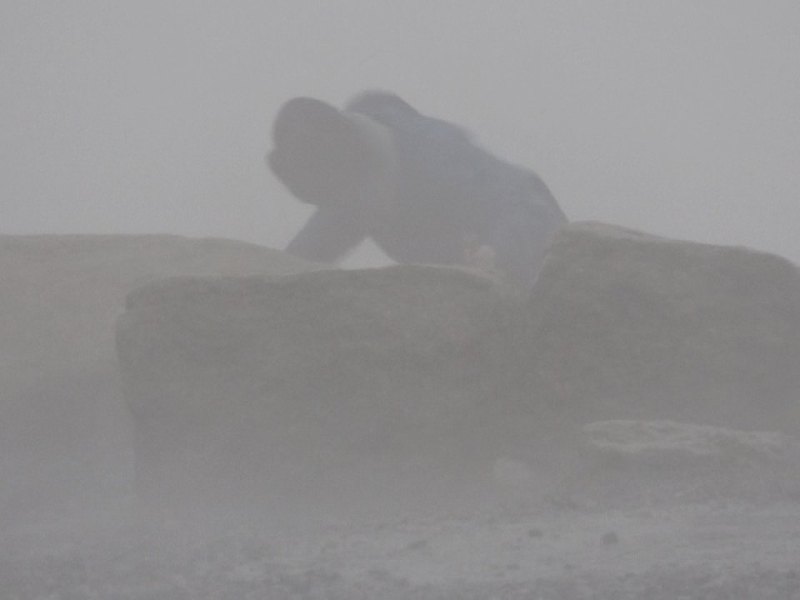 Wetter in Niedersachsen.jpg