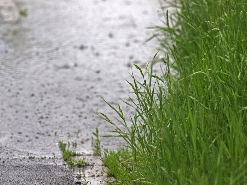 Wetter in Niedersachsen Hagel und Gewitter Sommer Wettervorhersage DWD