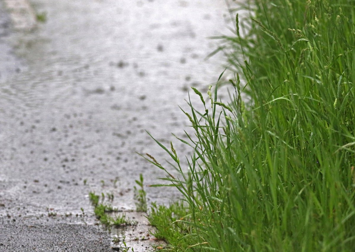 Wetter in Niedersachsen Hagel und Gewitter Sommer Wettervorhersage DWD