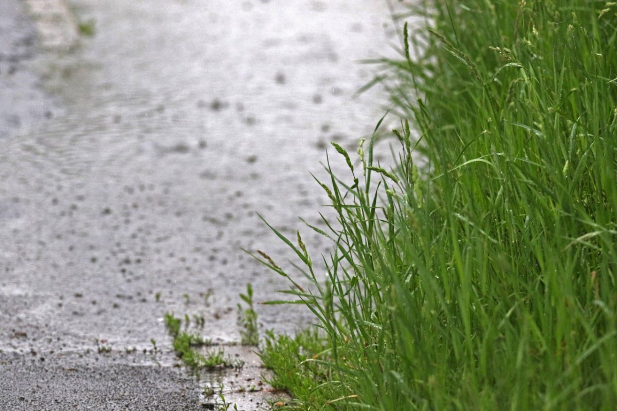 Wetter in Niedersachsen Hagel und Gewitter Sommer Wettervorhersage DWD