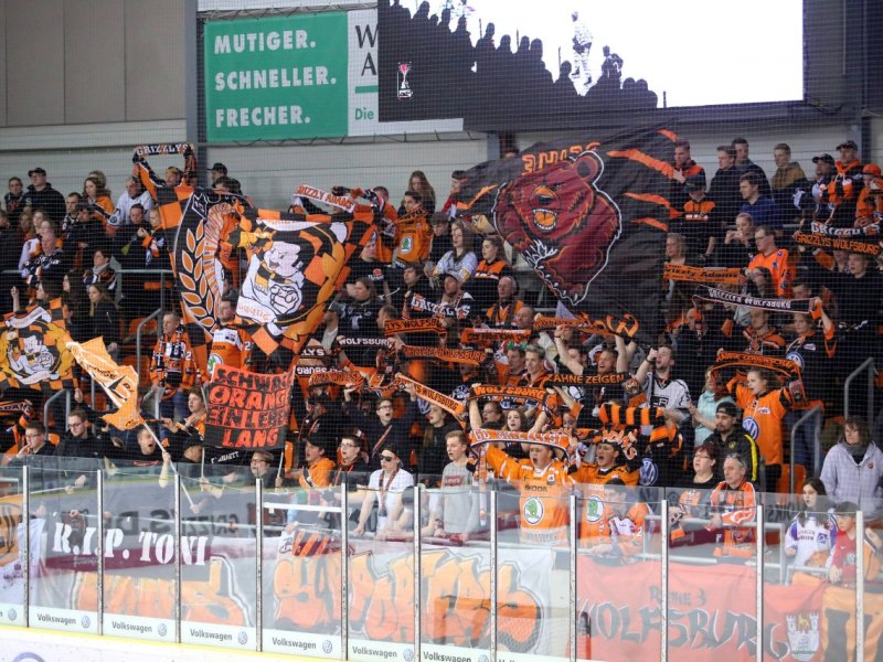 Wolfsburg Grizzlys.jpg