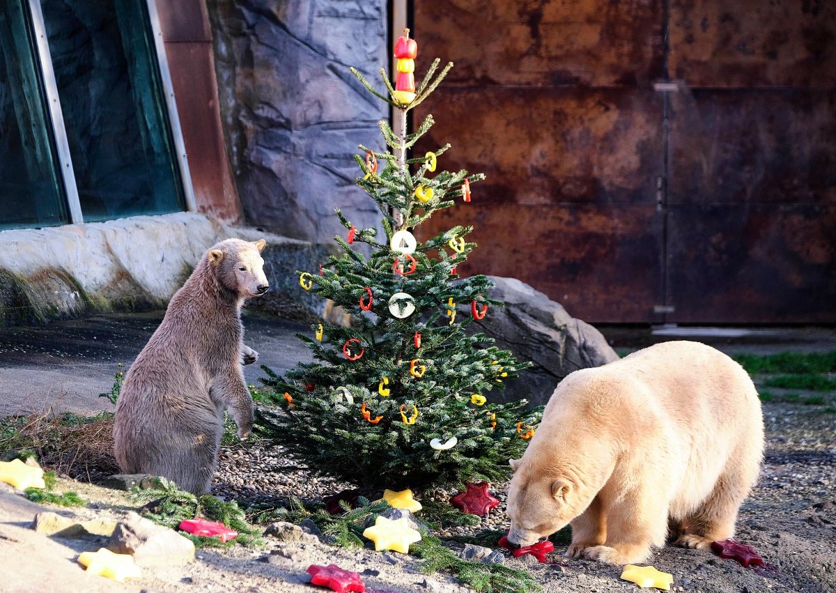 Zoo Hannover