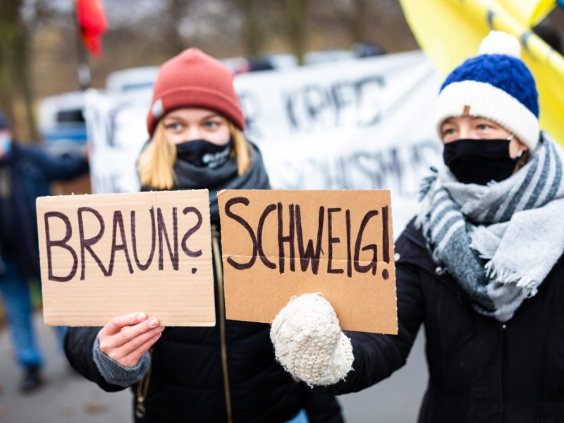 afd braunschweig demo gegendemo 3