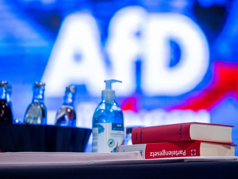 afd braunschweig.jpg