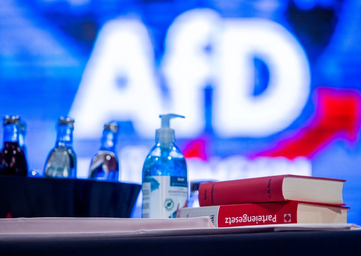 afd braunschweig.jpg