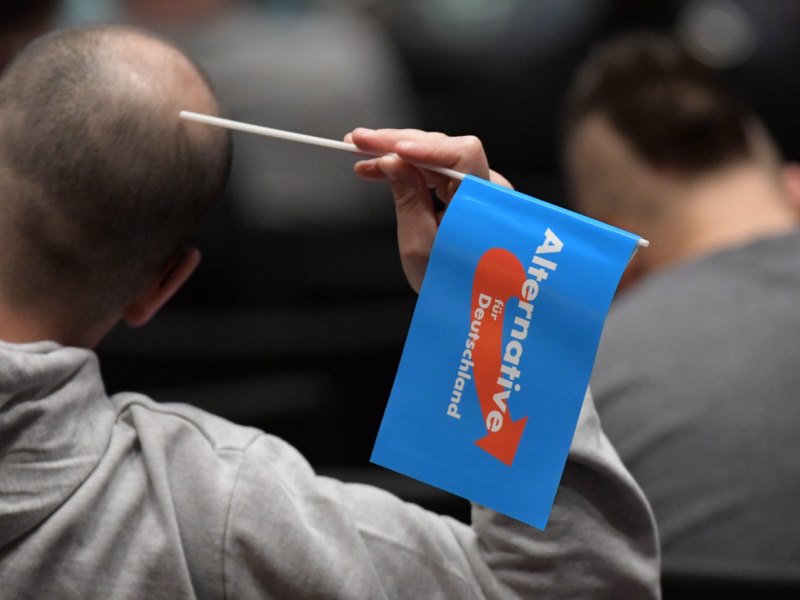 afd fahne fähnchen braunschweig niedersachsen symbolbild