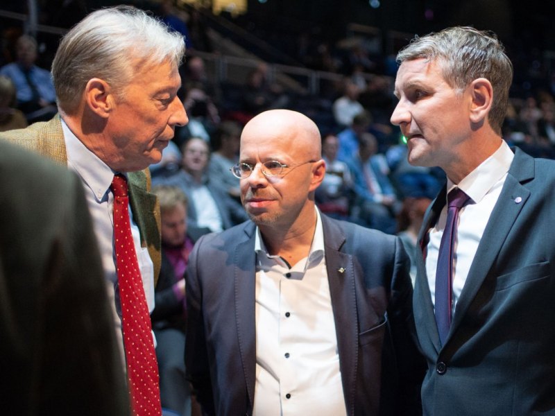 afd flügel höcke kalbitz
