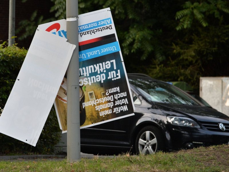 afd plakate.jpg