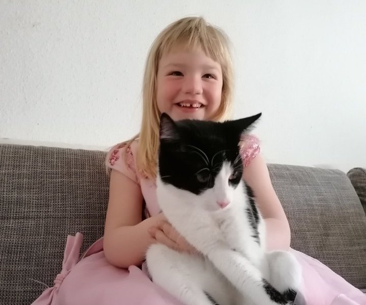 baghira salzgitter katze vermisst