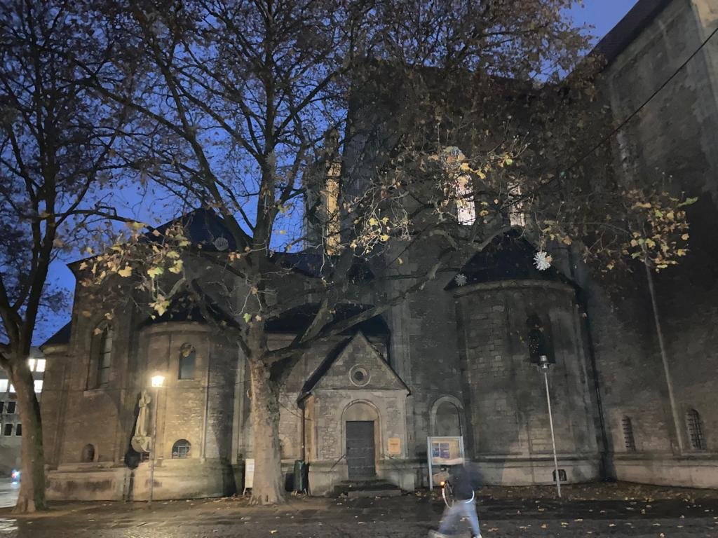 baum linde braunschweig dom domplatz