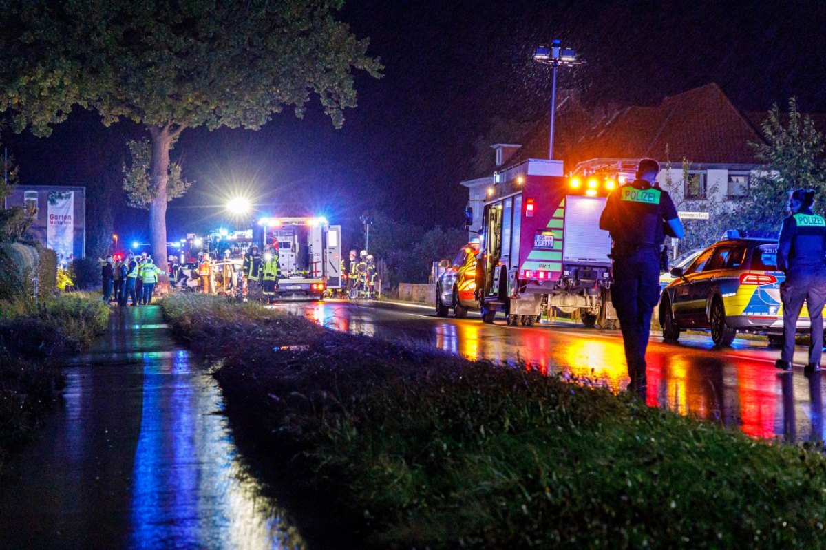 baum unfall harz abend nacht dunkel goslar seesen rhüden