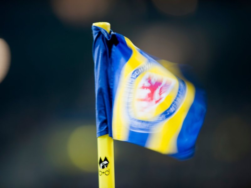 eintracht braunschweig stadion eckfahne logo wappen