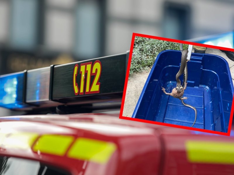 feuerwehr1.jpg