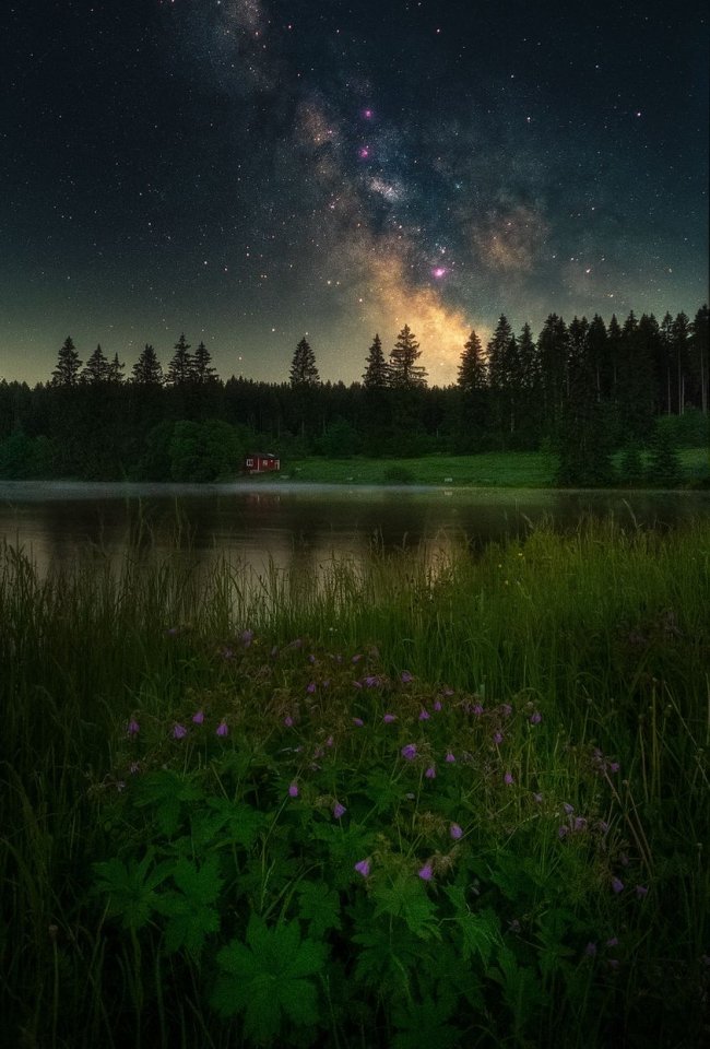 foto harz facebook Ziegenberger Teich