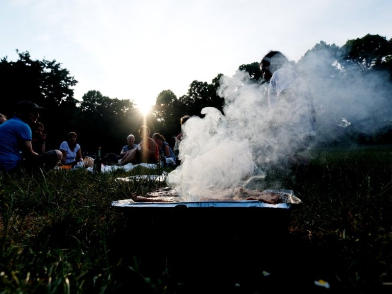 grillen grill park sommer braunschweig