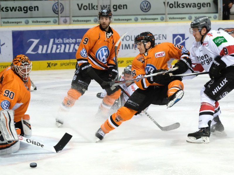 grizzlys kölner haie