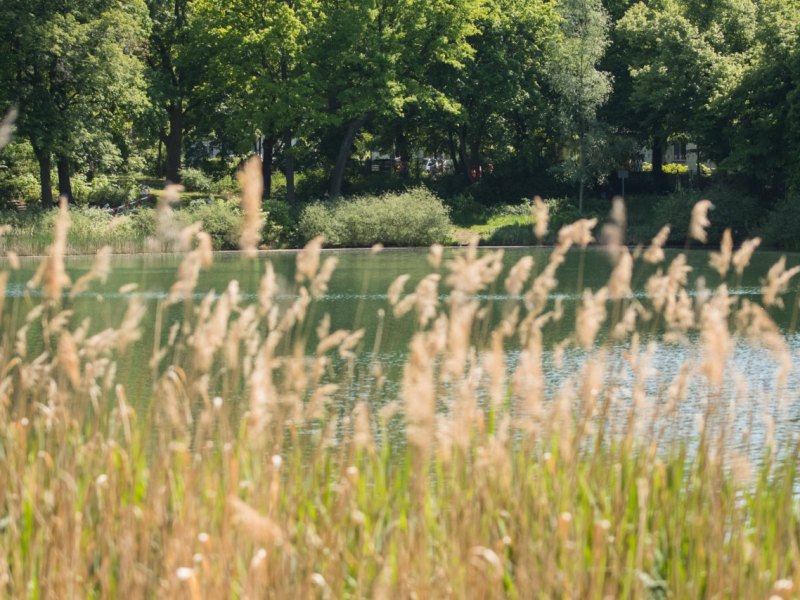 hannover badesee.jpg