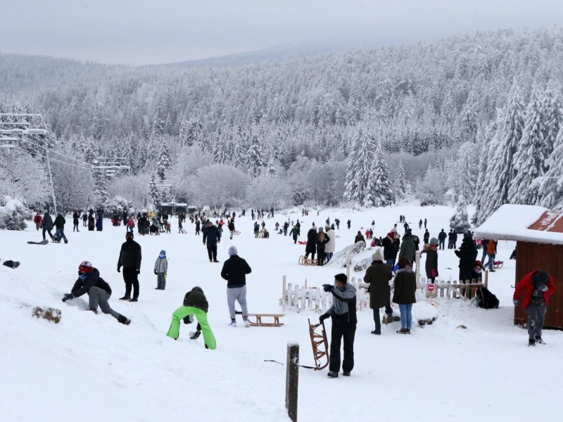 harz.jpg