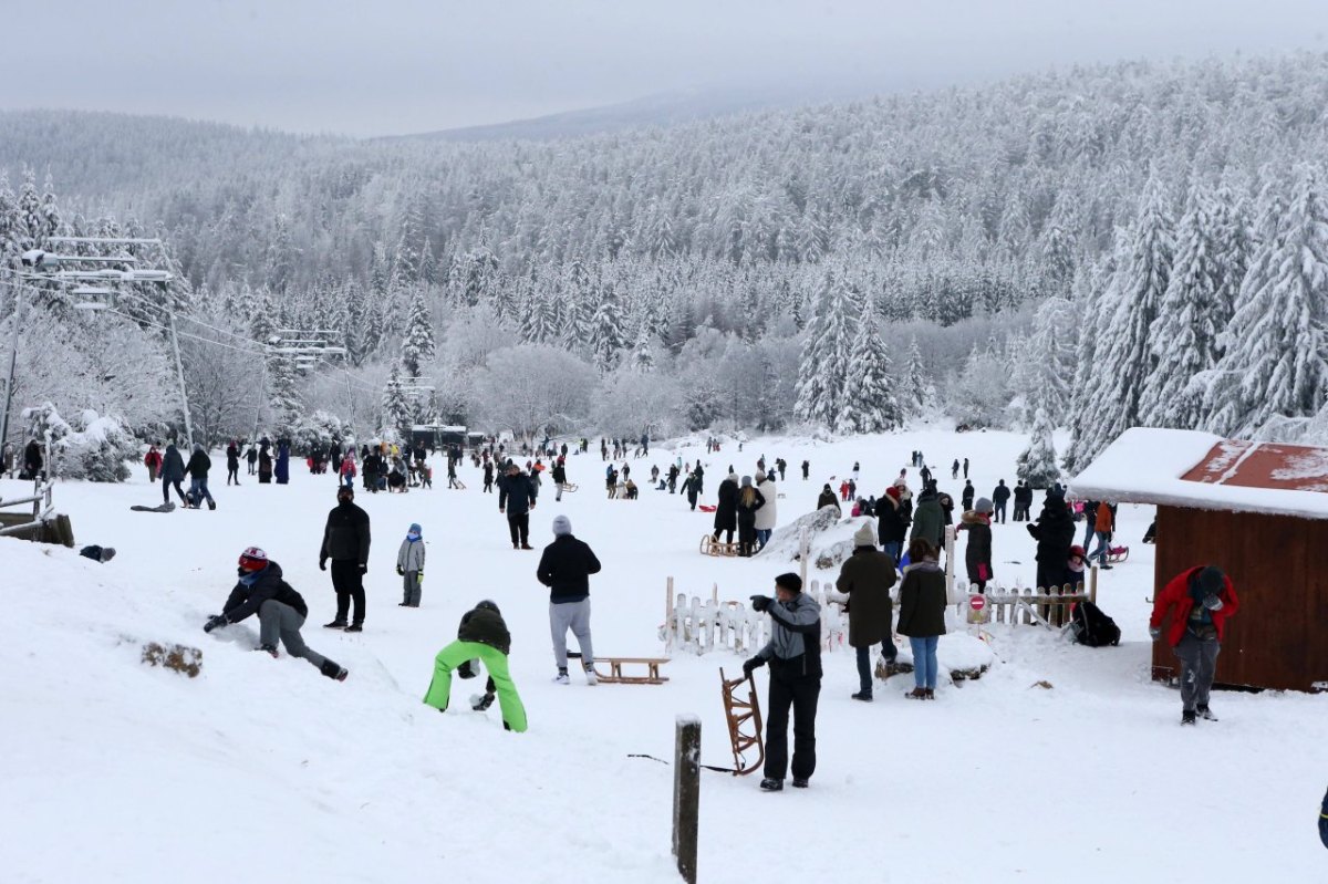 harz.jpg