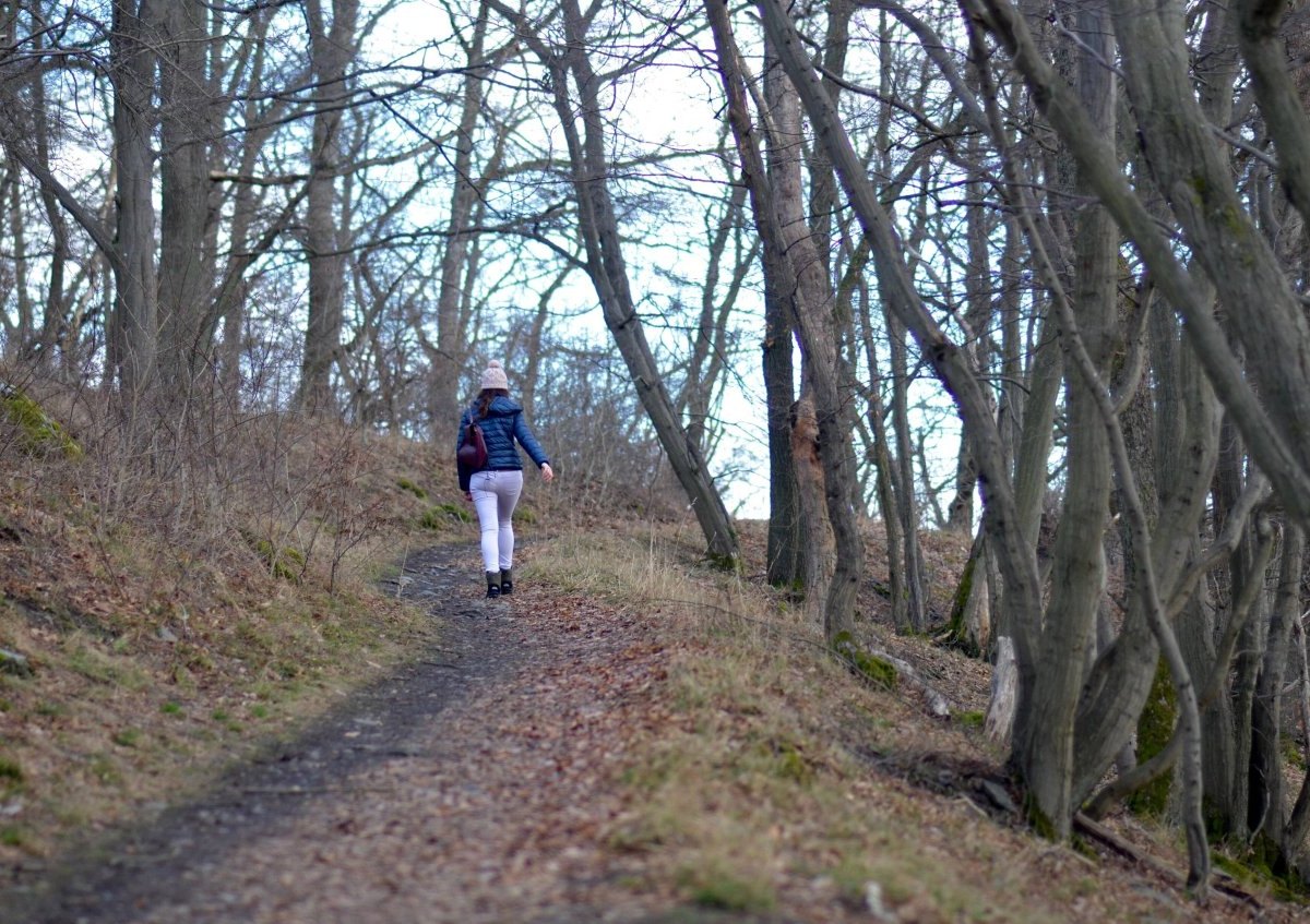 harz.jpg