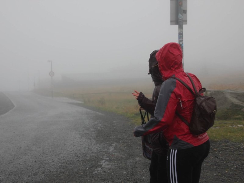 harz brocken.jpg