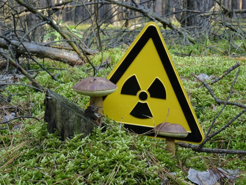 harz radon atom radioaktiv goslar clausthal braunlage