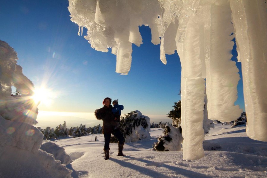 Auf dem Brocken, dem höchsten Gipfel im Harz, leuchten bizarre Eisgebilde im Licht der Abendsonne.