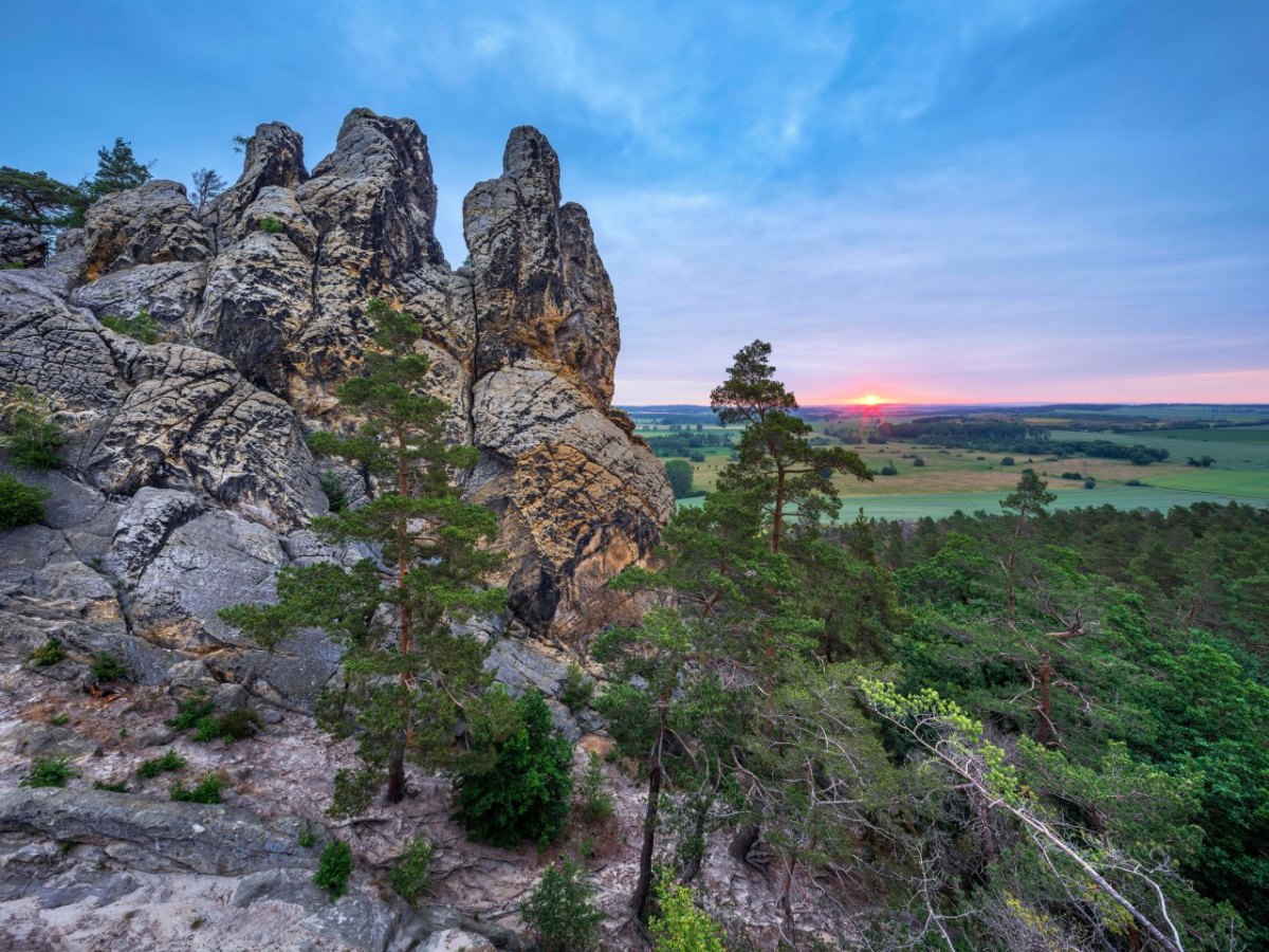 harz stein.jpg