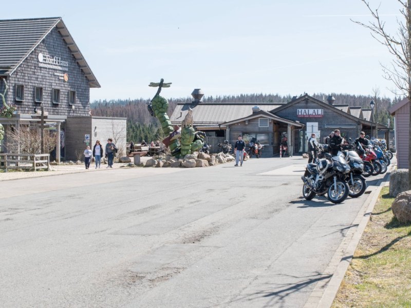 harz torfhaus.jpg
