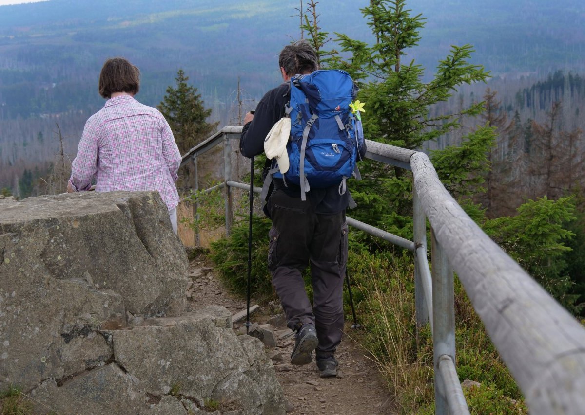 harz-wanderer.jpg