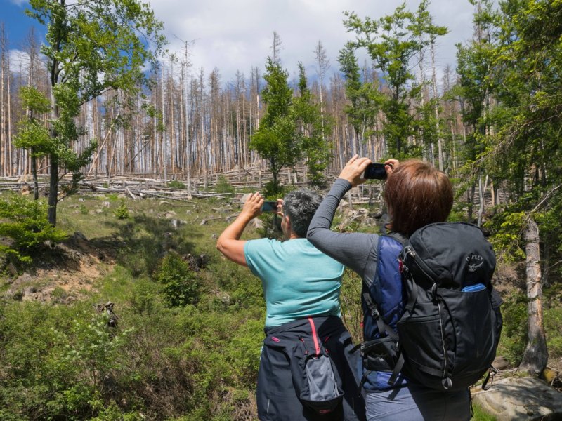 harz-wandern.jpg