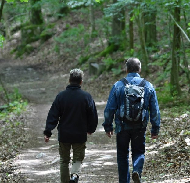 harz wandern.jpg