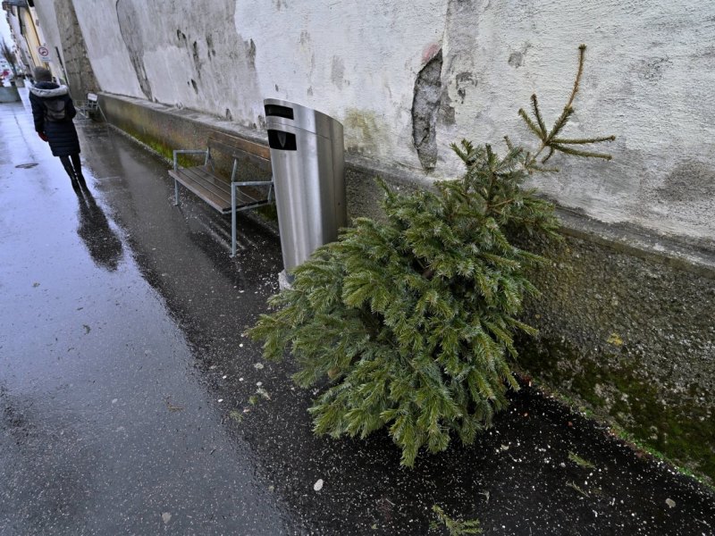 harz weihnachtsbaum.jpg
