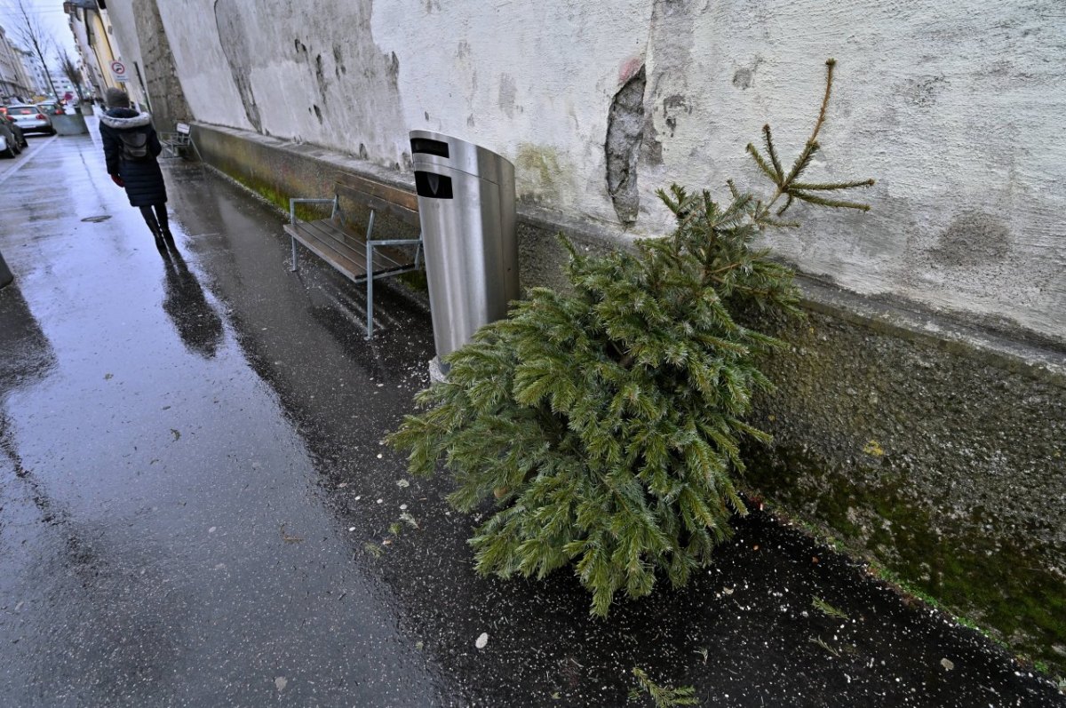 harz weihnachtsbaum.jpg