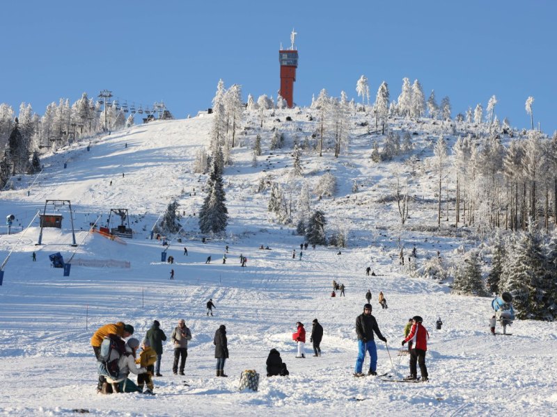 harz1.jpg