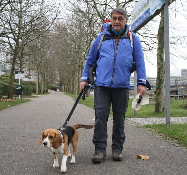 hund mann straße wolfenbüttel